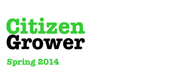 Citizen Grower sells edible plants in containers for your kitchen. Delivery in Manhattan!